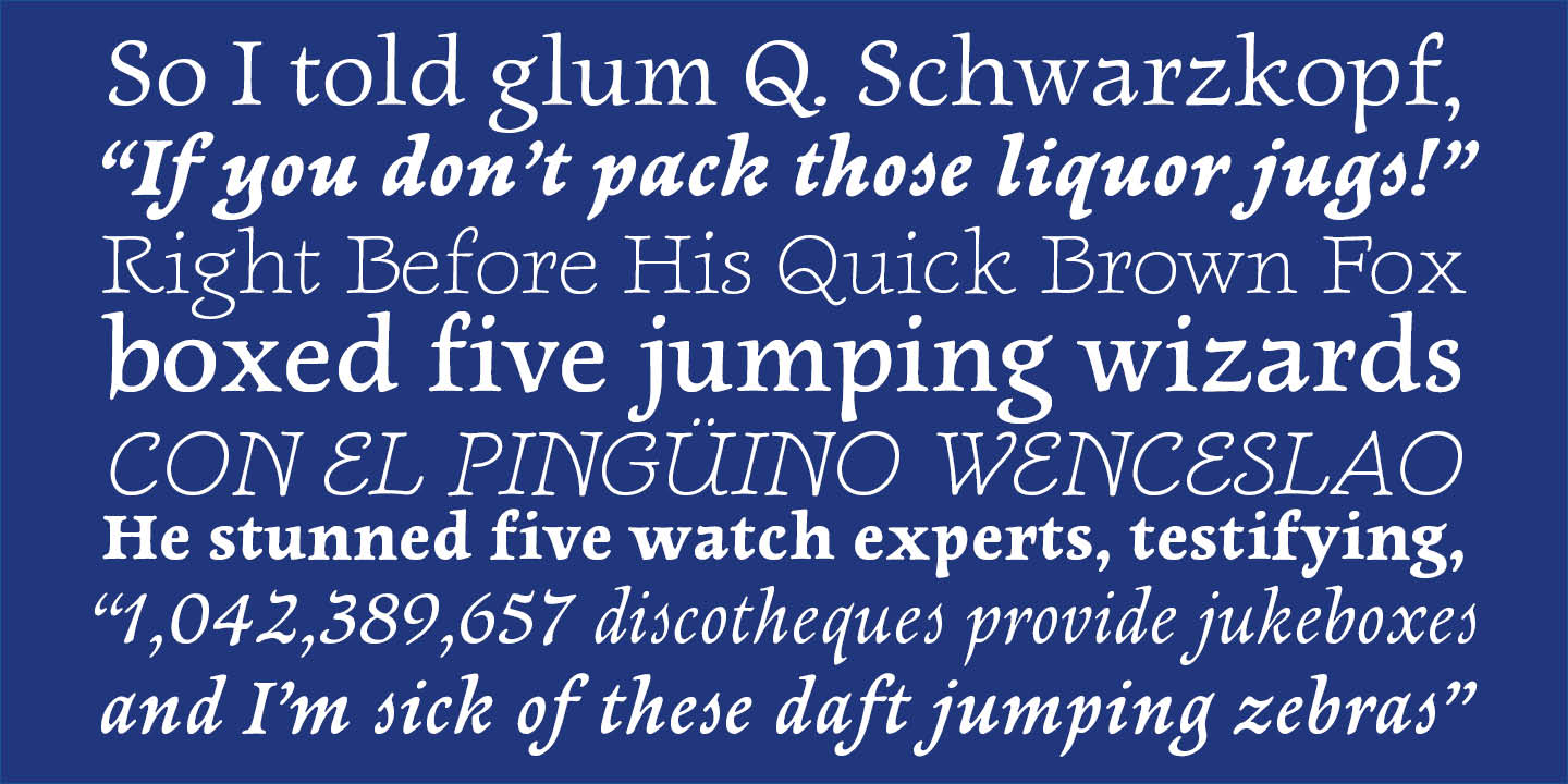 "Newt Serif image 3"